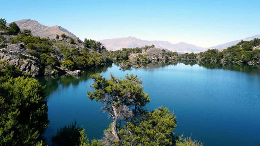 Mou Waho Island: 3-Hour Cruise and Guided Nature Walk - What the Guide Adds: Flora, Fauna, Geology, and Human Stories