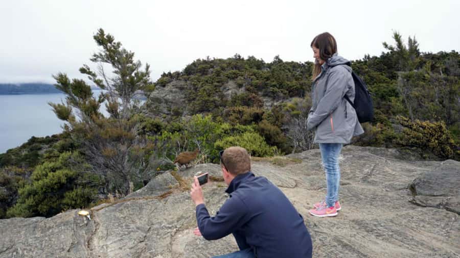 Mou Waho Island: 3-Hour Cruise and Guided Nature Walk - Weather Reality on Lake Wanaka: Plan for Cool, Wind, and Wet Rocks