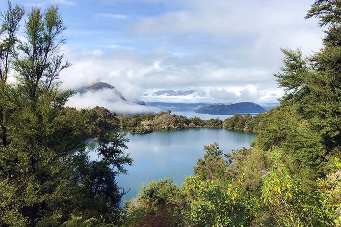 Mou Waho Island Cruise and Guided Nature Walk - Price and Value at Around $111 Per Person