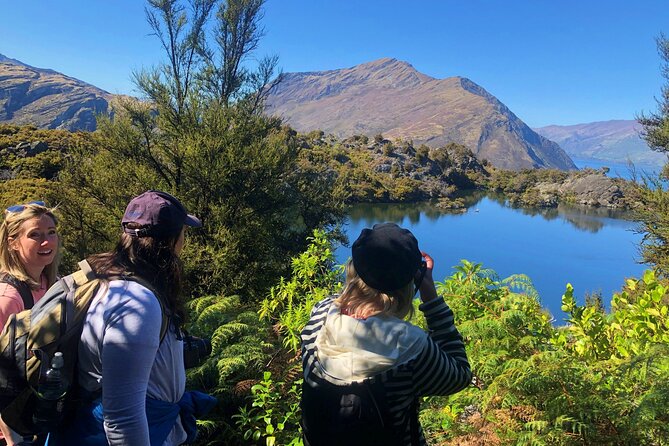 Mou Waho Island Cruise & Self-Guided Nature Walk - Return cruise to Roys Bay, where the day closes with more perspective