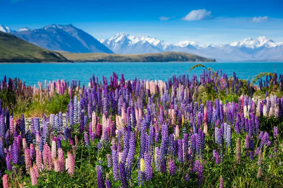 Mount Cook Day Tour: Mount Cook to Christchurch - Along Aoraki/Mount Cook: Views That Make the Wait Worth It