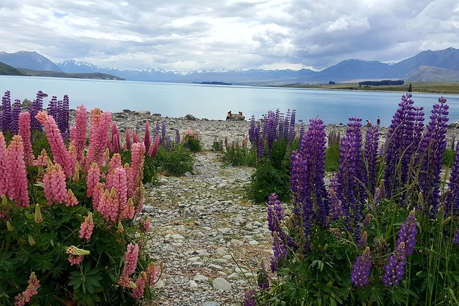 Mount Cook, Lake Tekapo and Tasman Glacier Tour from Christchurch - Aoraki/Mount Cook National Park: Edmund Hillary Alpine Centre and glacier-country views