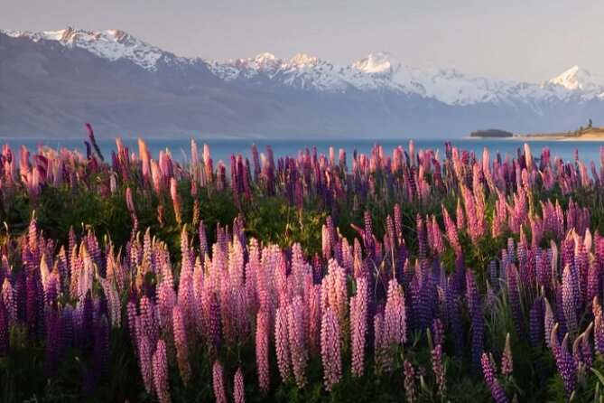 Mount Cook & Lake Tekapo Day Trip from Christchurch - The Van Ride Details That Make a Long Day Feel Manageable