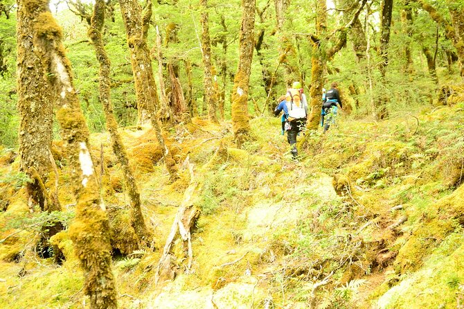 Mt Aspiring Full Day Canyon ex Queenstown or Wanaka - Mt Aspiring canyoning: UNESCO scenery, then real action