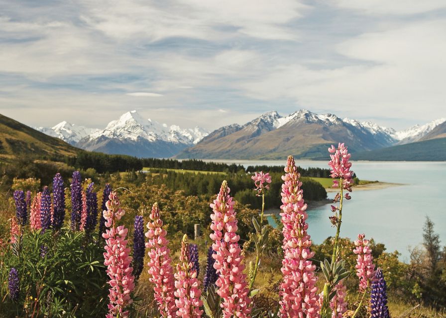 Mt. Cook Day-Tour: Christchurch to Queenstown - Lake Pukaki: a second blue lake with a different feel