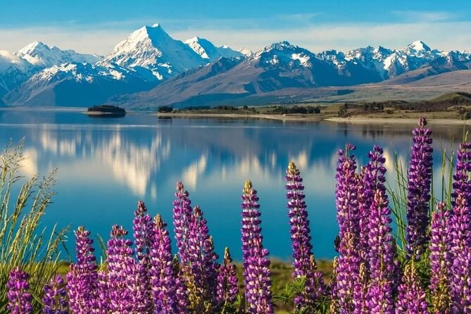 Mt. Cook Private Day Trip From Queenstown with Lake Tekapo - A Private Mt Cook and Tekapo day that is built for photos and real time