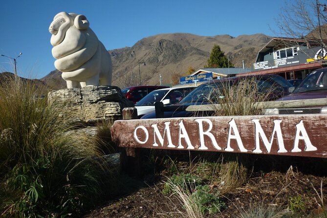 Mt Cook to Queenstown Small Group Tour (One-Way) - Lake Pukaki Stop: Big Color, Quick Photos, Easy Timing