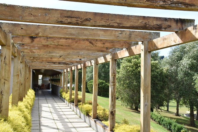 Muriwai Scenic Wine Tour from Auckland - Small group size changes the feel, and it shows