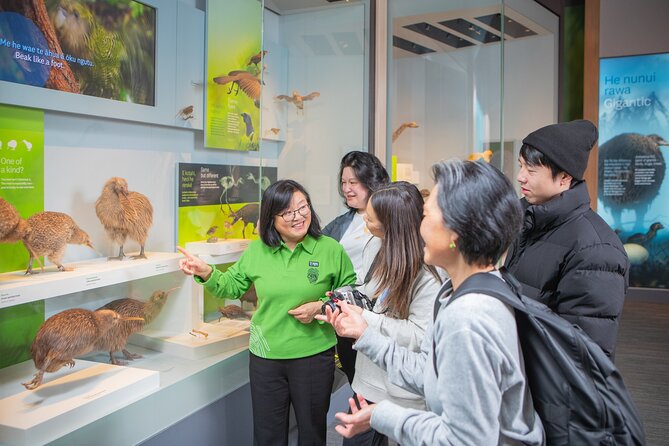 Museum of New Zealand Te Papa Tongarewa: Introducing Te Papa Tour - Key takeaways before you go