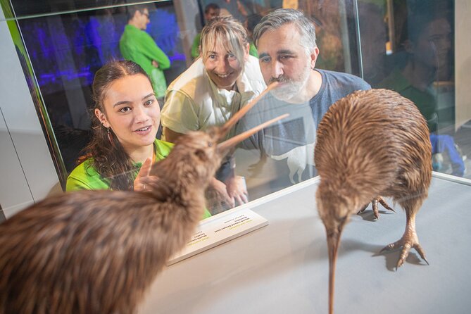 Museum of NZ Te Papa Tongarewa: International Visitor Entry - Māori and Pacific culture at Te Papa: more than a single exhibit