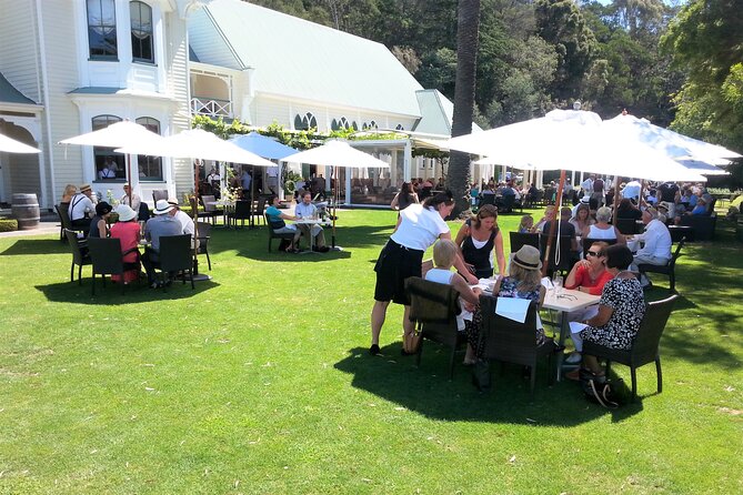Napier: Afternoon Wine Tasting + visit Silky Oaks Chocolates - Roys Hill on Gimblett Gravels Road: a quick hit for grape growing basics