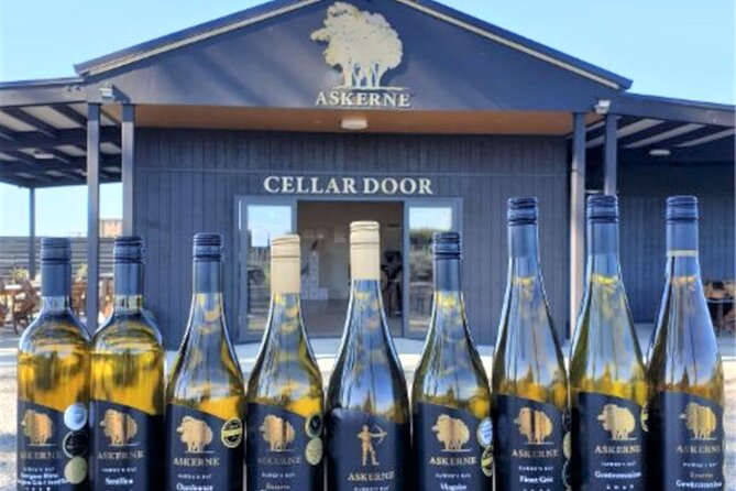 Napier: Afternoon Wine Tasting + visit Silky Oaks Chocolates - Trinity Hill Wines: tasting time plus a complimentary cheese board