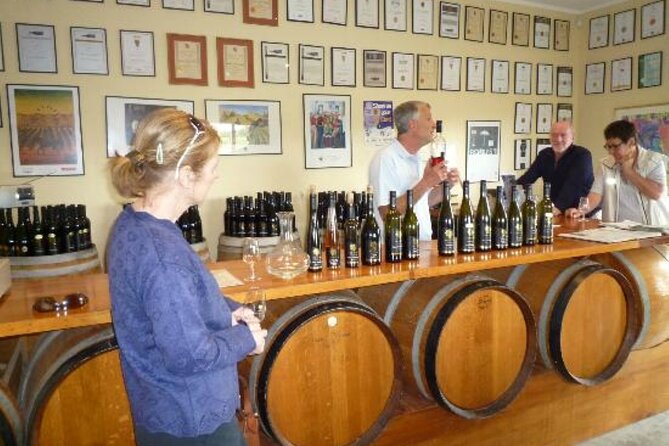 Napier: Afternoon Wine Tasting + visit Silky Oaks Chocolates - Pask Winery: a shorter tasting with a recently renovated feel