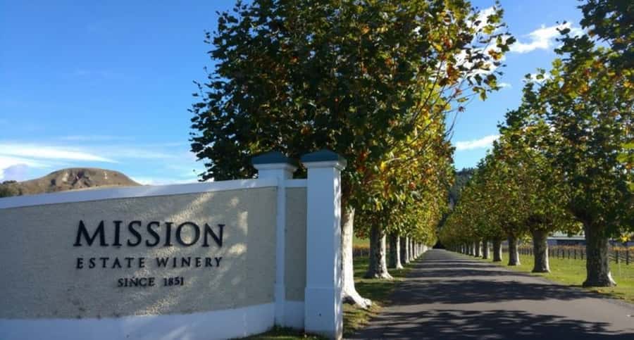 Napier: Afternoon Winery Tour Tasting at 3 Great Wineries - From Napier pickup to a smooth 5-hour wine rhythm