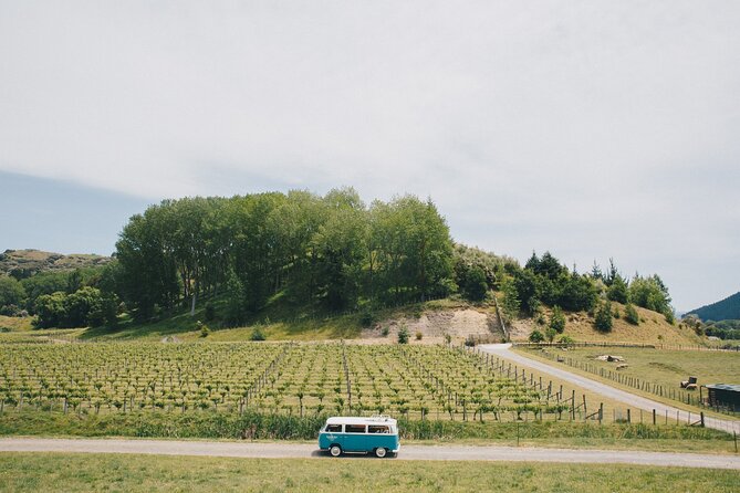 Napier and Hawkes Bay Scenic and Art Deco Tour by VW Kombi - What is included, what costs extra, and how to budget