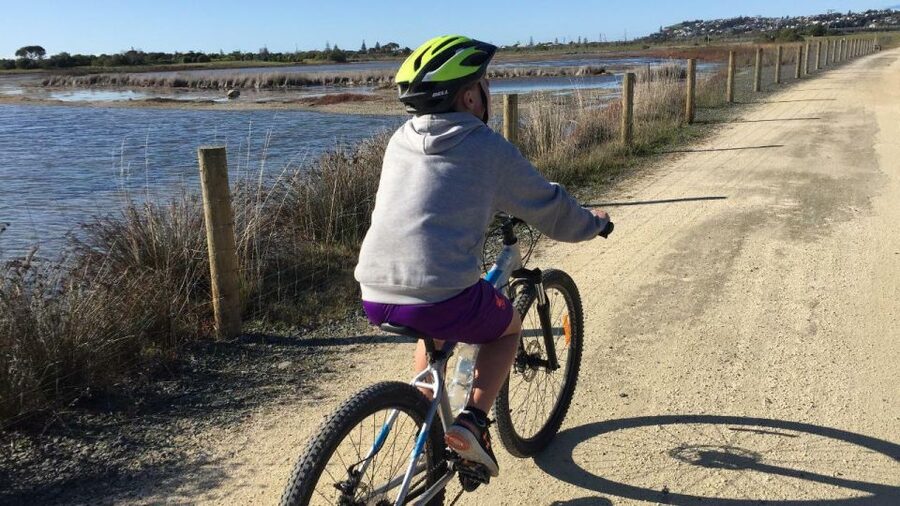 Napier: Art Deco Bike Ride and Wineries Loop - Church Road and Mission Estate, what you actually get