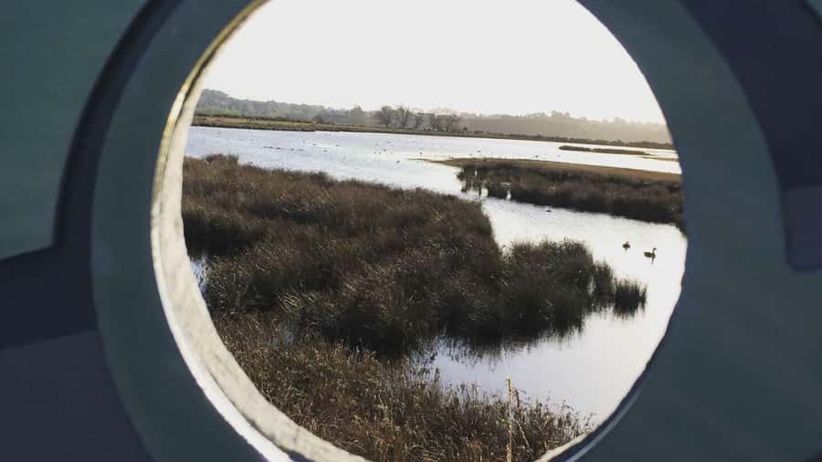 Napier: Art Deco Bike Ride and Wineries Loop - Ahuriri Estuary Trails, birds and calm after the wine