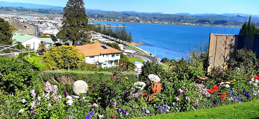 Napier: Art-Deco + Te Mata Peak+ Garden Walk + Wine Tasting - Meeting at 100 Marine Parade, then rolling out without stress