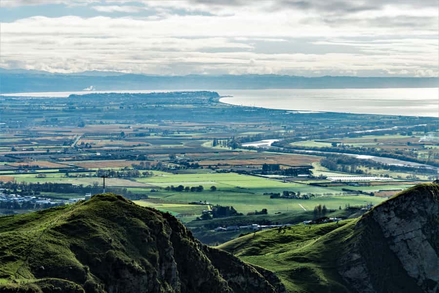Napier: Art-Deco + Te Mata Peak+ Garden Walk + Wine Tasting - Is $89 good value for this Napier shore excursion?
