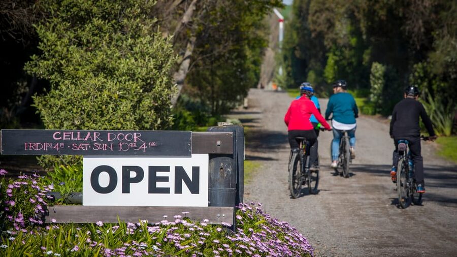 Napier: Cape Coast Winery Tour on E-Bikes - Te Mata Estate: a wine heavy hitter that you should plan for