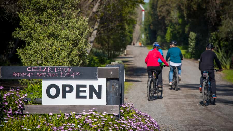 Napier: Cape Coast Winery Tour on E-Bikes - Black Barn Winery and Fig Alley: the food-and-wine finale