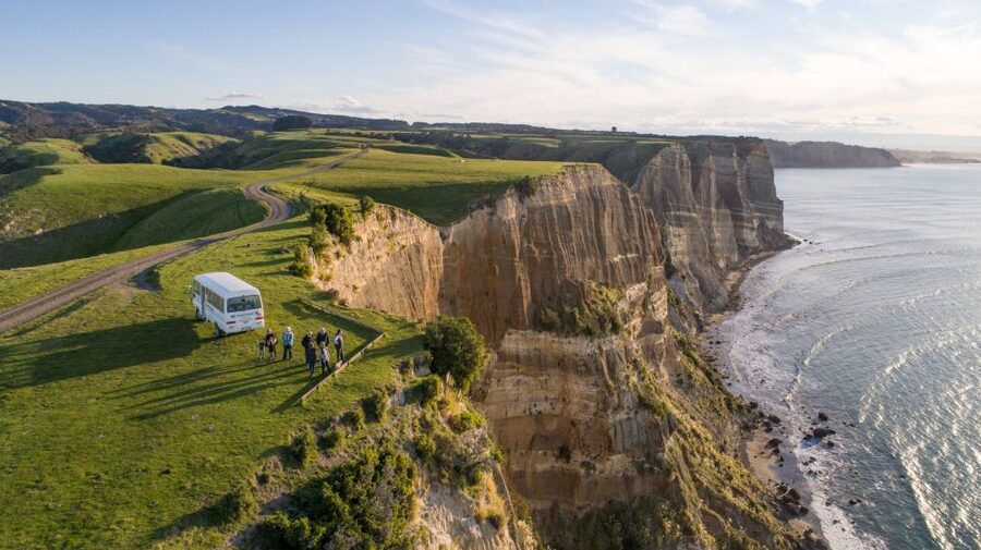 Napier: Cape Kidnappers Gannet, Nature & Sightseeing Tour - What you’ll see at the gannet colony (and when)