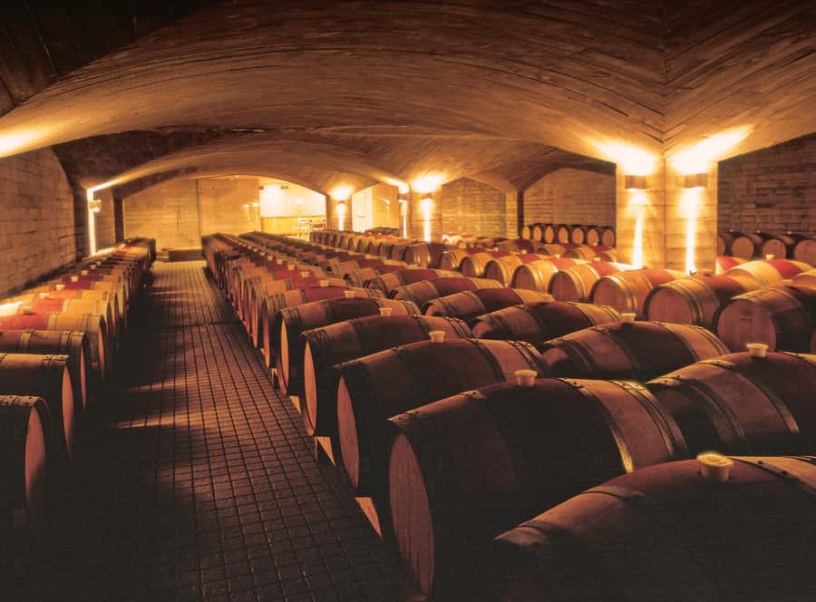 Napier Craggy Range Wine tour with Te Mata Peak summit views - Price and Value: Is $159 Worth It?