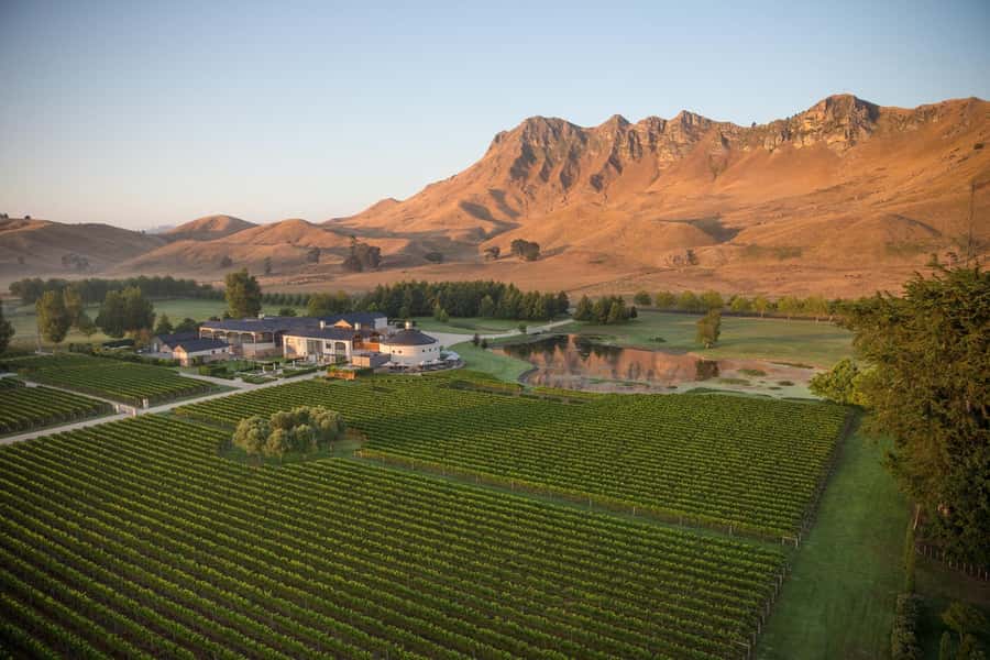 Napier Craggy Range Wine tour with Te Mata Peak summit views - Who This Tour Fits Best (and Who Should Skip It)