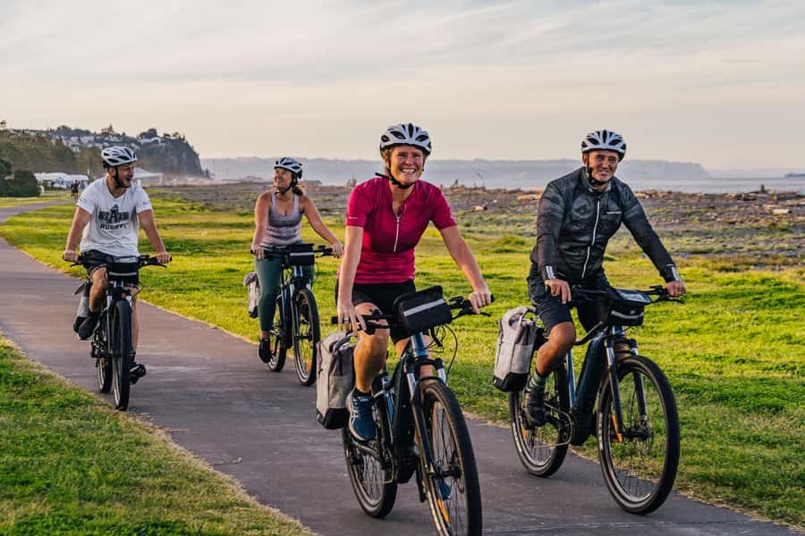 Napier: Cruise Self-Guided Cycle Ride to Winery - Half Day - The ride itself: coastal tracks, orchards, and estuary birdlife