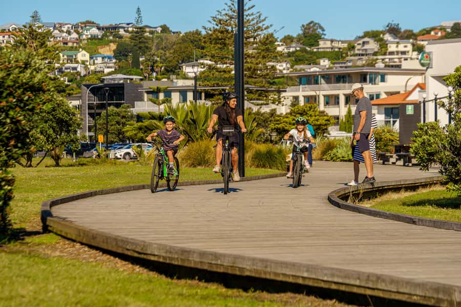 Napier: Cruise Self-Guided Cycle Ride to Winery - Half Day - Who this Napier winery cycle is best for