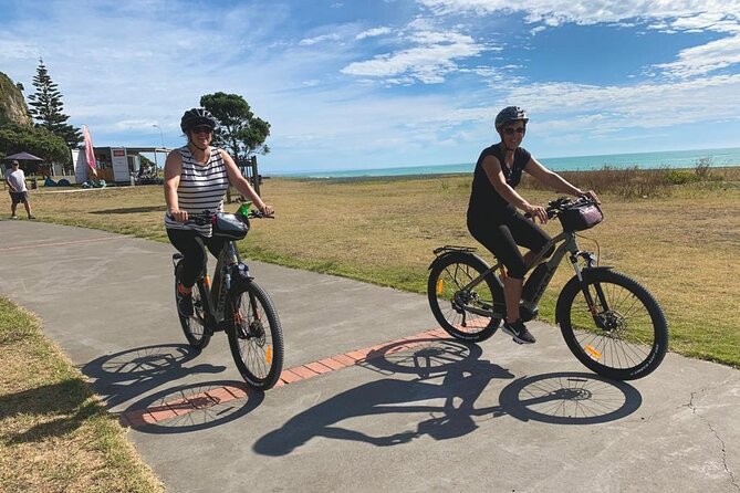Napier: Cycle to Wineries - Half Day, self-guided - Price and value for a half-day Napier stop