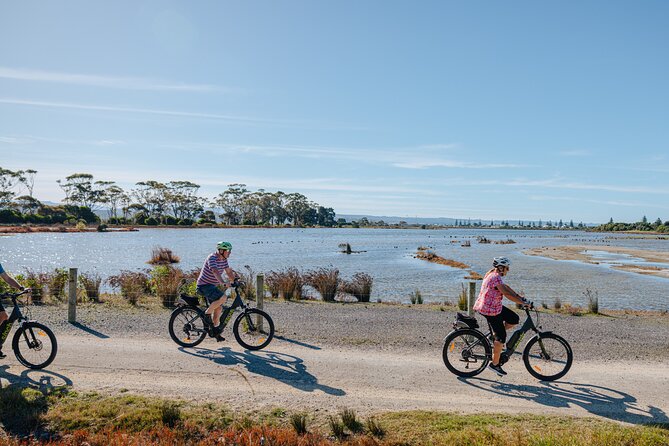 Napier E-bike Hire - Key things I’d watch for