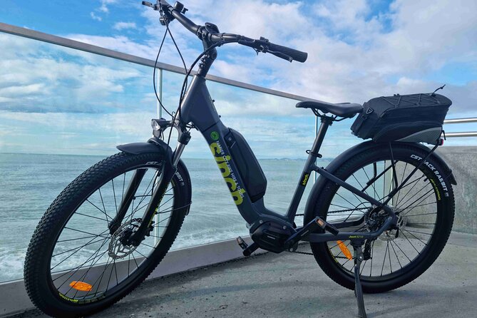 Napier E-bike Hire - The e-bike itself: why step-through matters in Napier