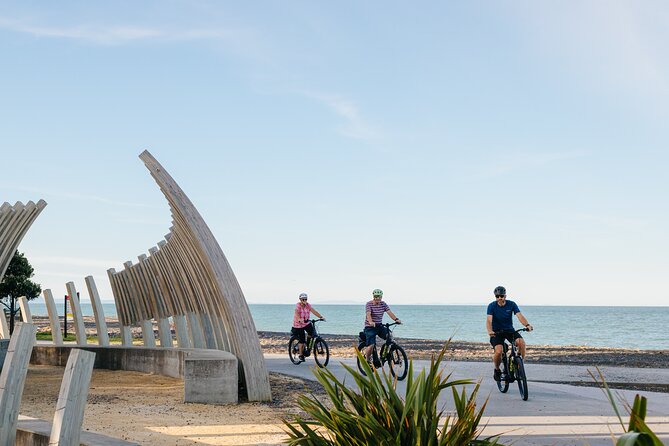 Napier E-bike Hire - Matching your time: how to plan 1 to 8 hours on the bike