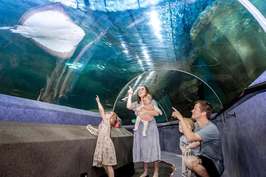 Napier: National Aquarium of New Zealand General Admission - Getting Oriented: From Mountains to Sea in One Easy Circuit