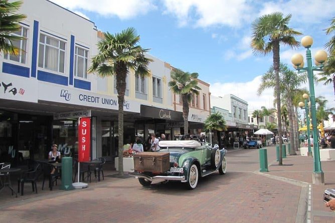 Napier Shore Excursion: Wine & Art Deco Tour - The Ale House Finish: Beer and Cider by the Historic Port