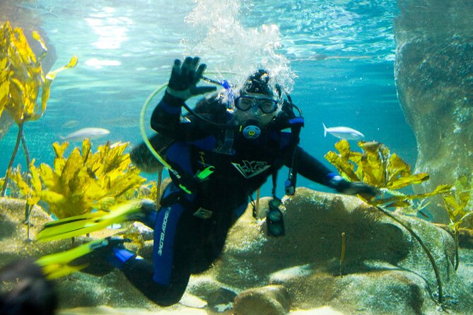 National Aquarium of New Zealand in Napier General Admission - Key highlights not to miss