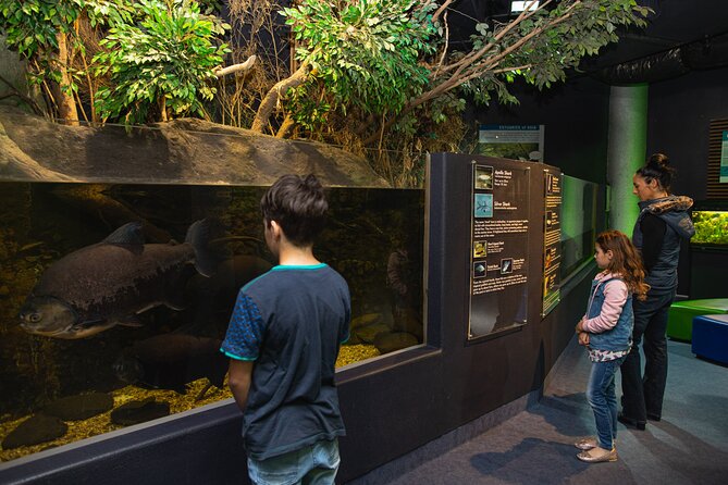 National Aquarium of New Zealand in Napier General Admission - Price and value at about $18.31 per person