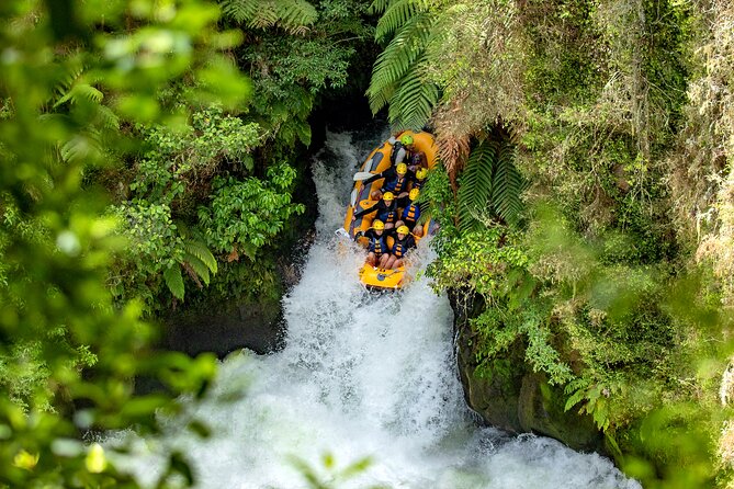 National Kiwi Hatchery - Kiwi Encounter Guided Tour - Is This Good Value for $47.74 in Rotorua?