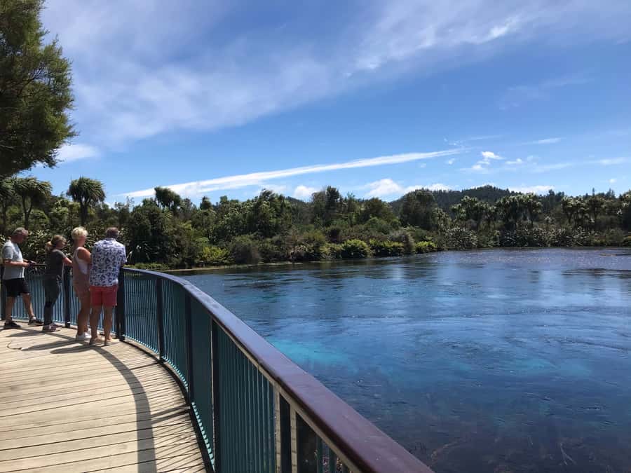 Nelson: Abel Tasman Cruise-Fly Day Tour - Key takeaways before you go