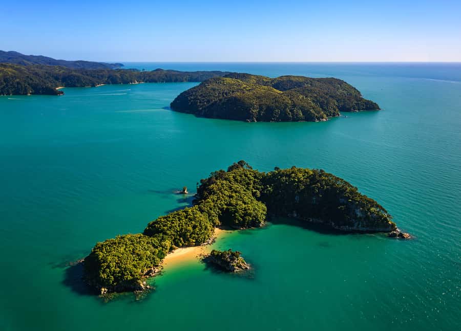 Nelson: Abel Tasman Cruise-Fly Day Tour - Tōtaranui beach picnic, swimming, and easy walking