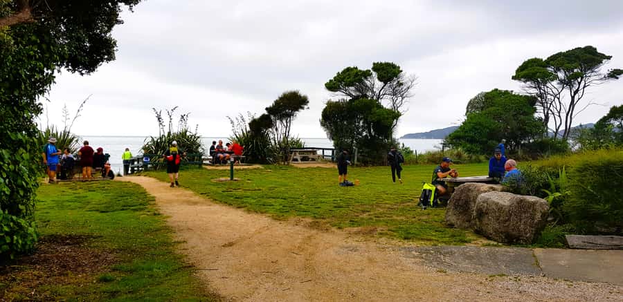 Nelson: Abel Tasman Cruise-Fly Day Tour - Golden Bay shoreline by shuttle to Tākaka