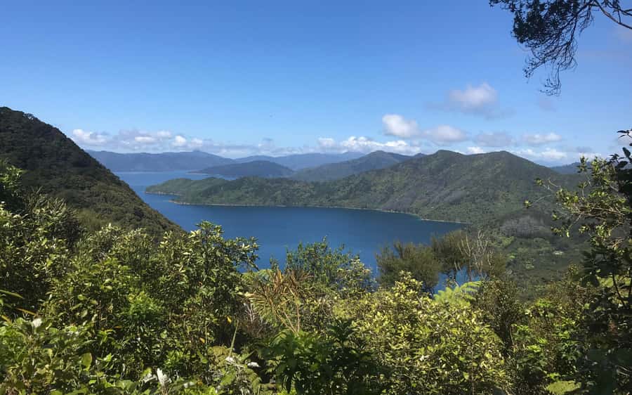 Nelson: Abel Tasman Kayaking & Great Taste Trail Bike Tour - Great Taste Trail cycling from Kaiteriteri, the uphill reality check