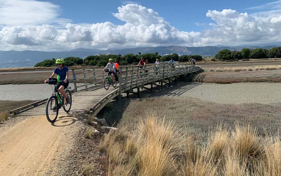 Nelson: Abel Tasman Kayaking & Great Taste Trail Bike Tour - Who this tour suits, and who should skip it