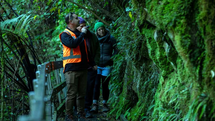 Nelson: Brook Waimārama Sanctuary Guided Night Walk - Key things to know before you go