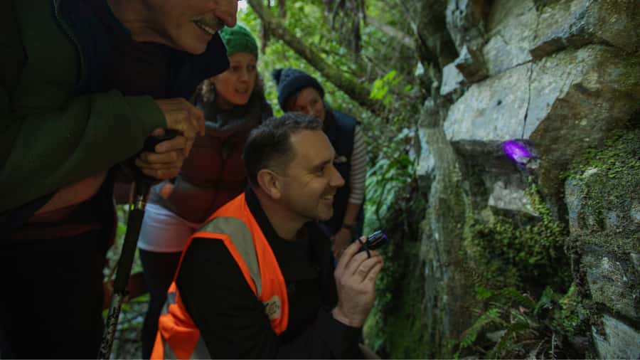 Nelson: Brook Waimārama Sanctuary Guided Night Walk - The guided walk in the dark: ruru calls and kiwi listening