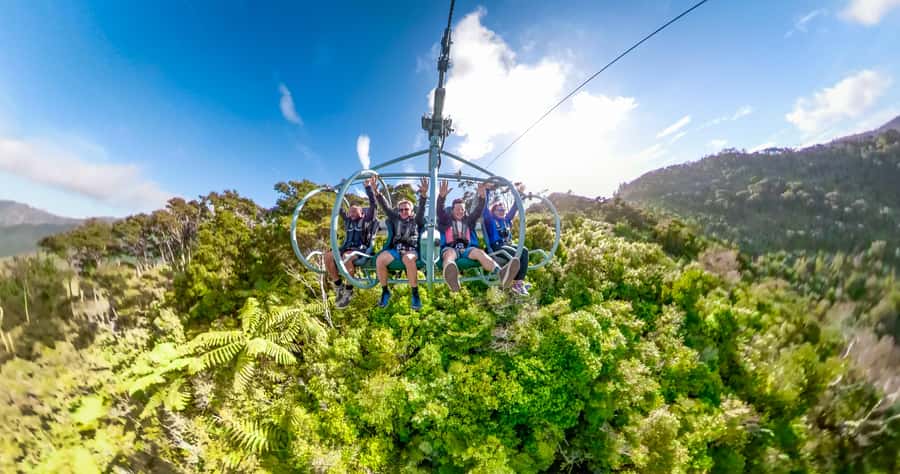 Nelson: Cable Bay Adventure Park Skywire Experience - Key things to love about the Cable Bay Skywire