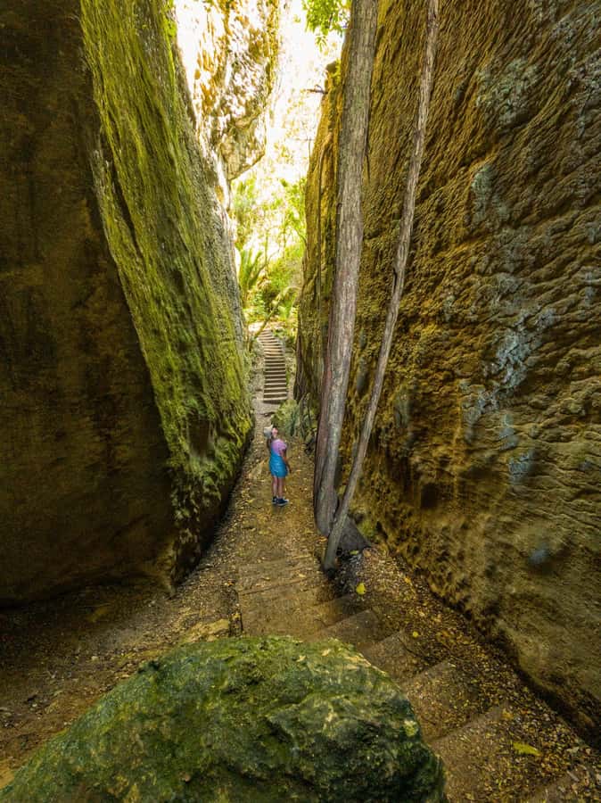 Nelson: Golden Bay in a Day Tour - Golden Bay in one day from Nelson: is it worth packing it all in?
