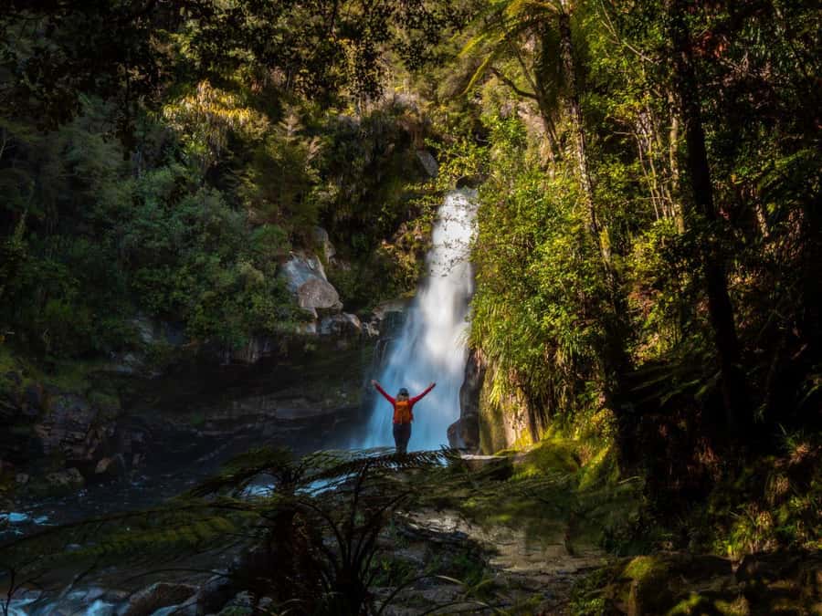 Nelson: Golden Bay in a Day Tour - Takaka lunch break: a real pause, not just a snack stop