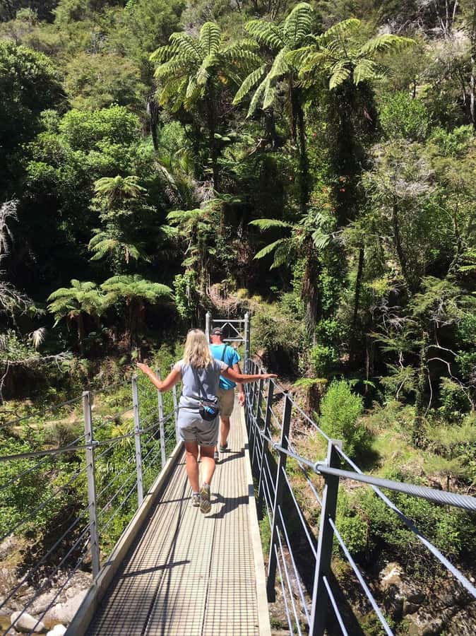 Nelson: Golden Bay in a Day Tour - Private and small-group touring: the real advantage